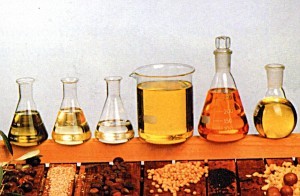 Novelty-Oils